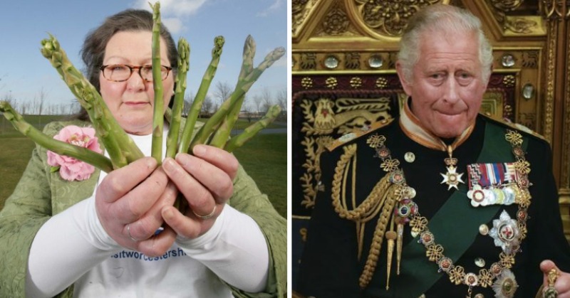 King Charles Will Abdicate Subsequent 12 months Says ‘Asparagus’ Psychic