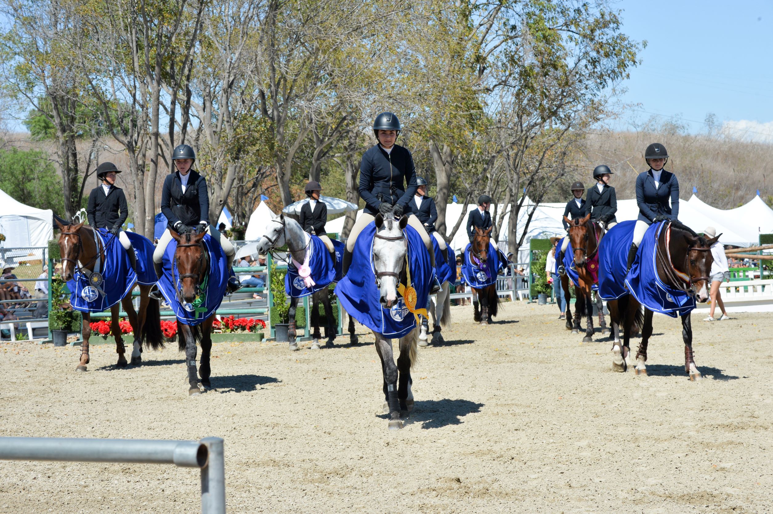 The Portuguese Bend Nationwide Horse Present is a household affair with far reaching impacts