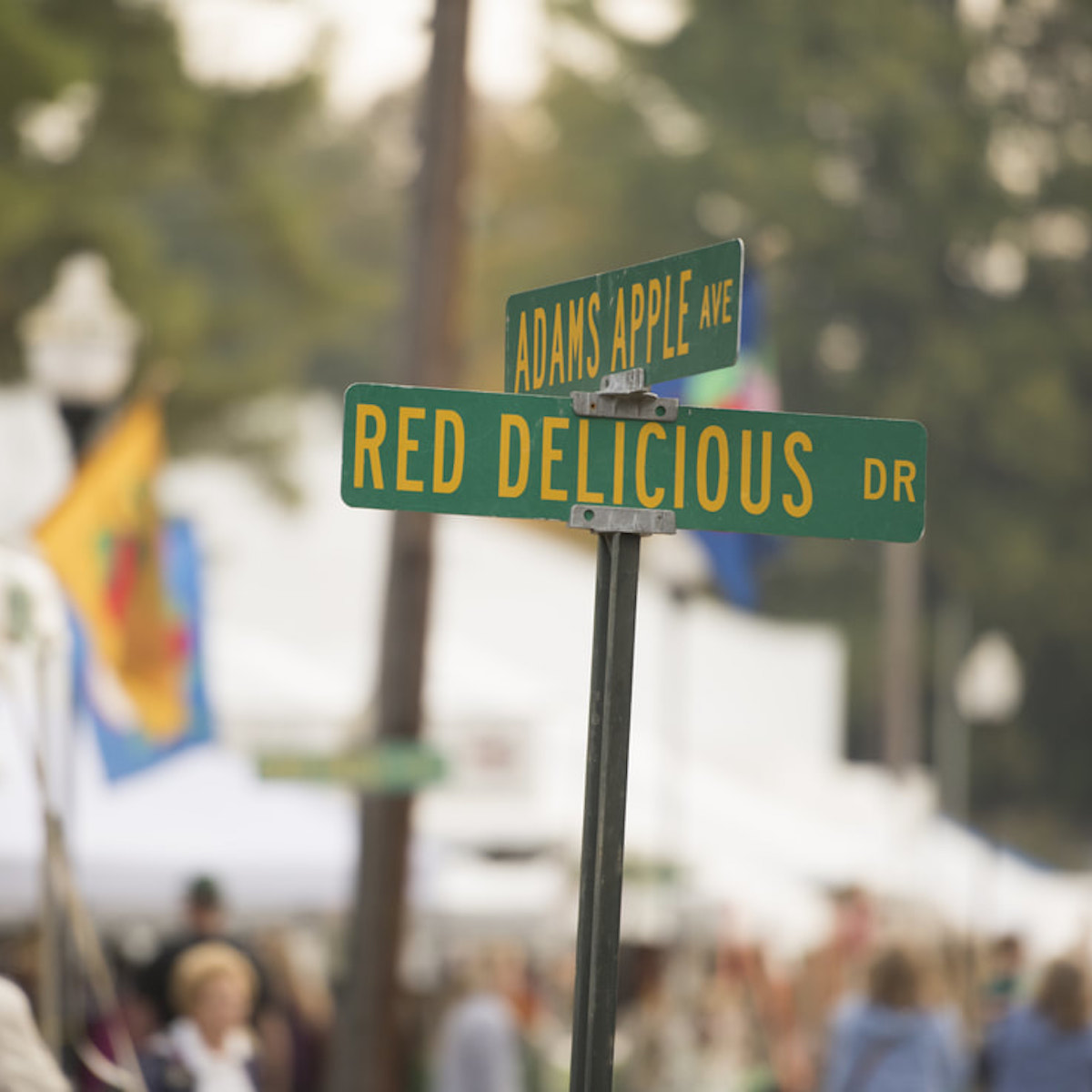 My 17 Favourite Experiences At Pennsylvania’s Nationwide Apple Harvest Competition