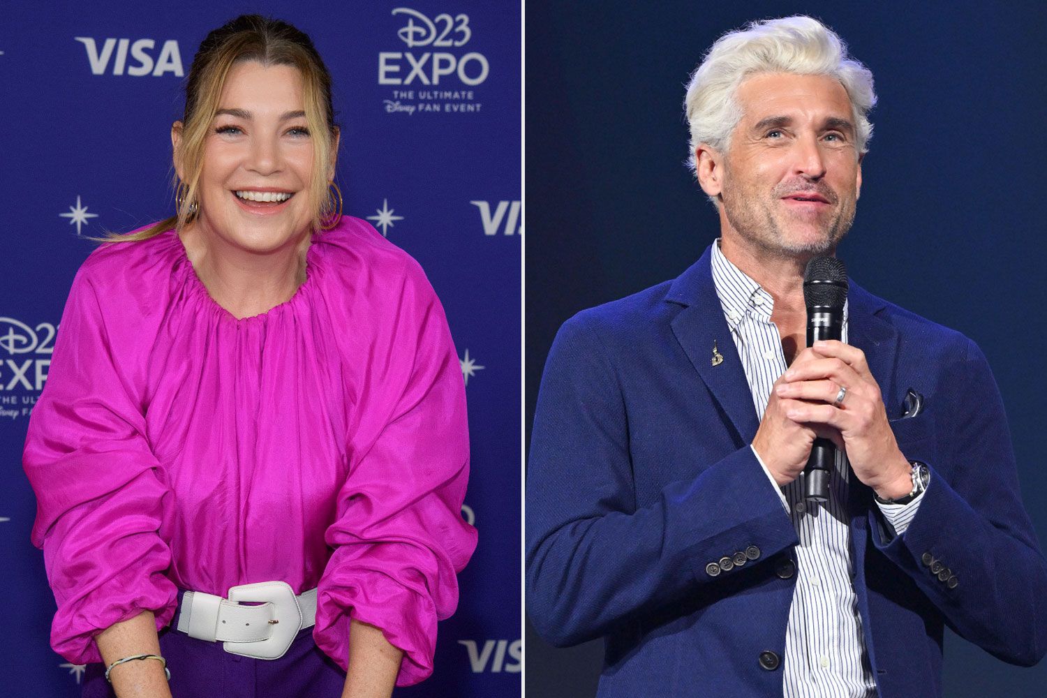 Ellen Pompeo and Patrick Dempsey Reunite on D23 Expo Pink Carpet