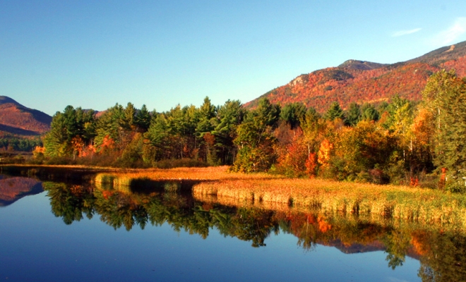 Governor Hochul Publicizes the Begin of 2022 Fall Foliage and Journey Season in New York State