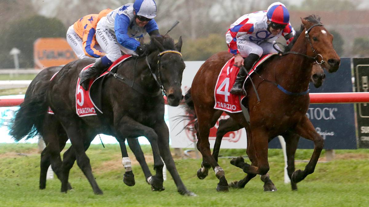 Horse racing: Moist climate forces abandonment of Hawke’s Bay carnival races