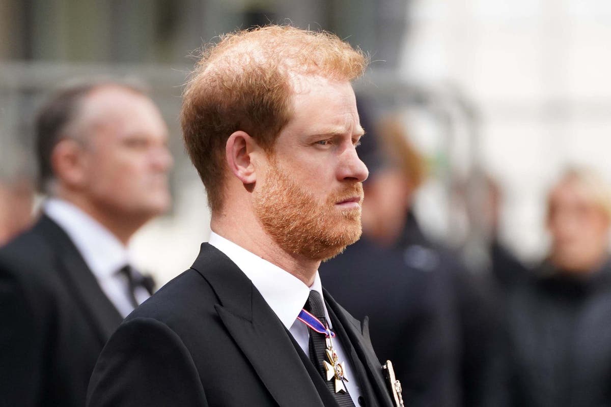 Prince Harry was ‘incensed’ after courtiers ‘obtained in the best way’ of Queen assembly, e book claims