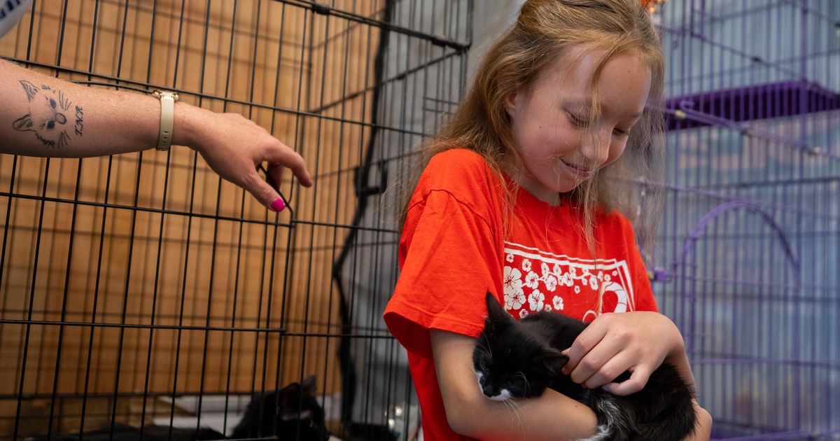 Greater than 100 pets get adopted at Salt Lake County Animal Providers’ annual Petapalooza