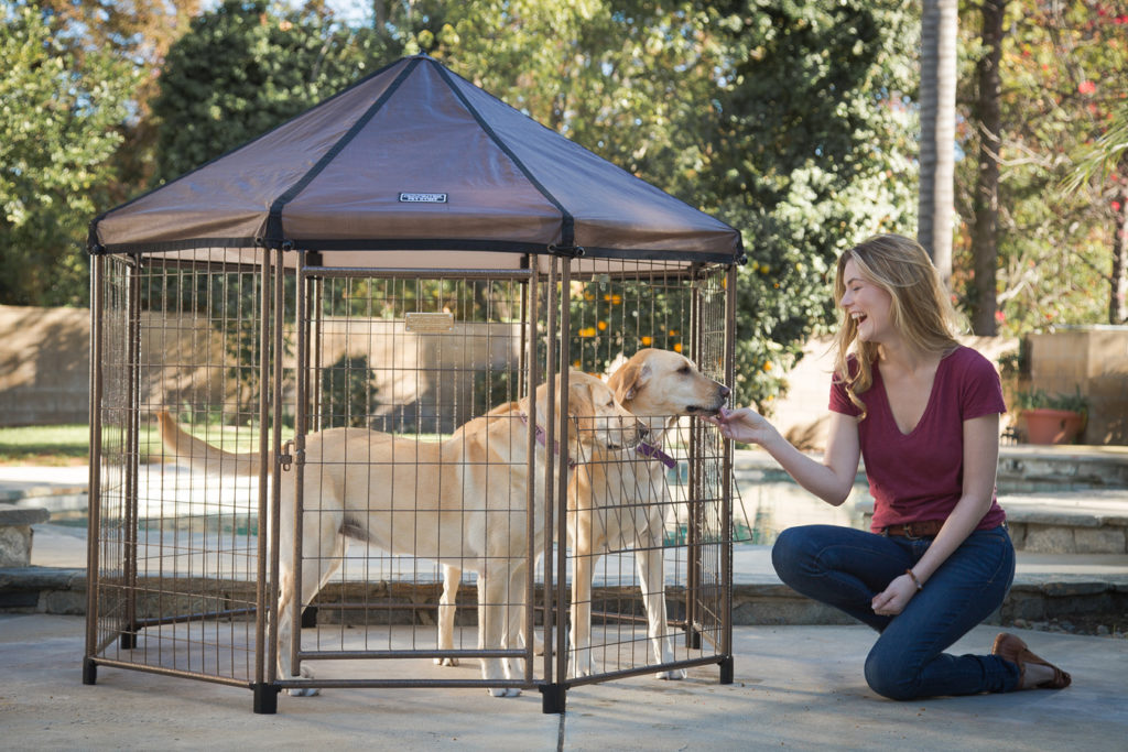 Win World Worldwide Commerce Acquires Canine Kennel Model THE PET GAZEBO