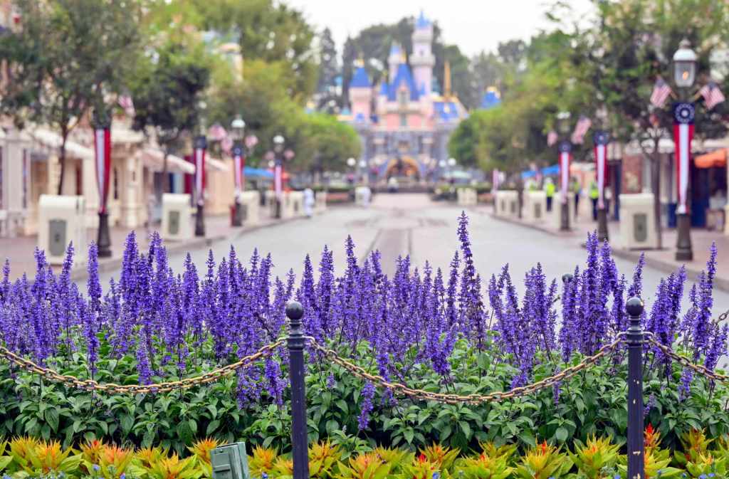 How Disneyland’s climate station helps save water and preserve 1,000 floral beds blooming – Press Telegram