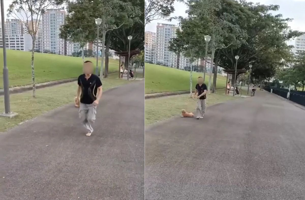 Man turns into aggressive and drops poodle after being advised to leash his pet