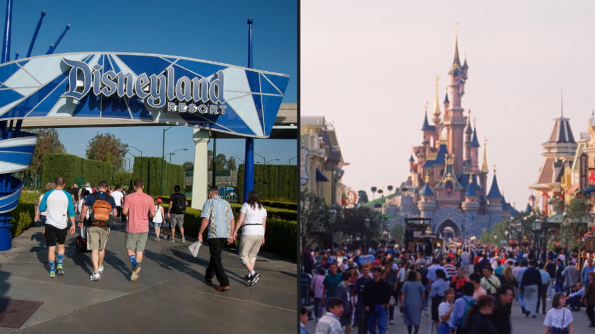 Outstanding businessman makes large bid to get a Disneyland theme park in Australia