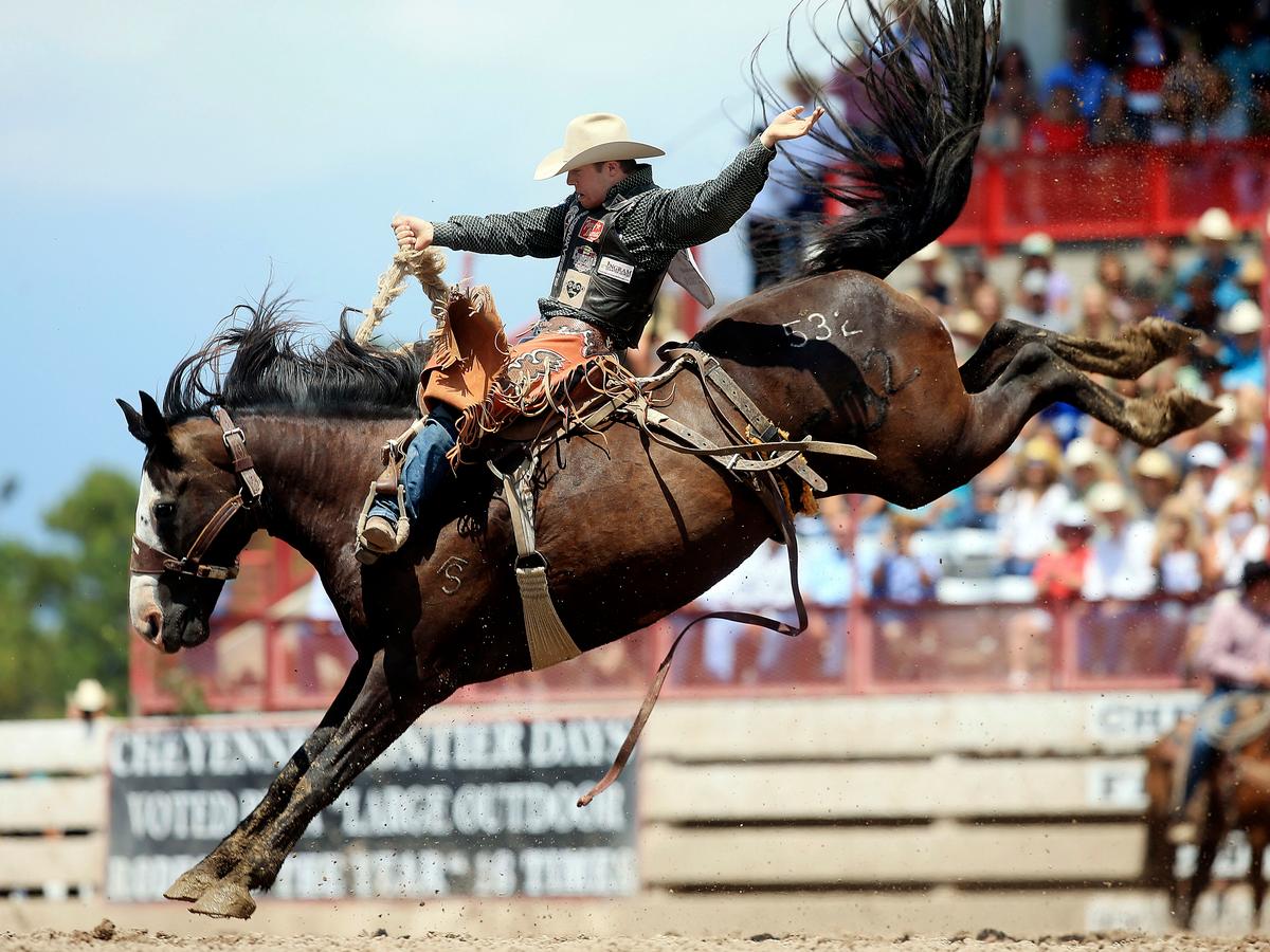 Talent video games firm woos Pa. lawmakers with journeys to wild Wyoming rodeo · Highlight PA