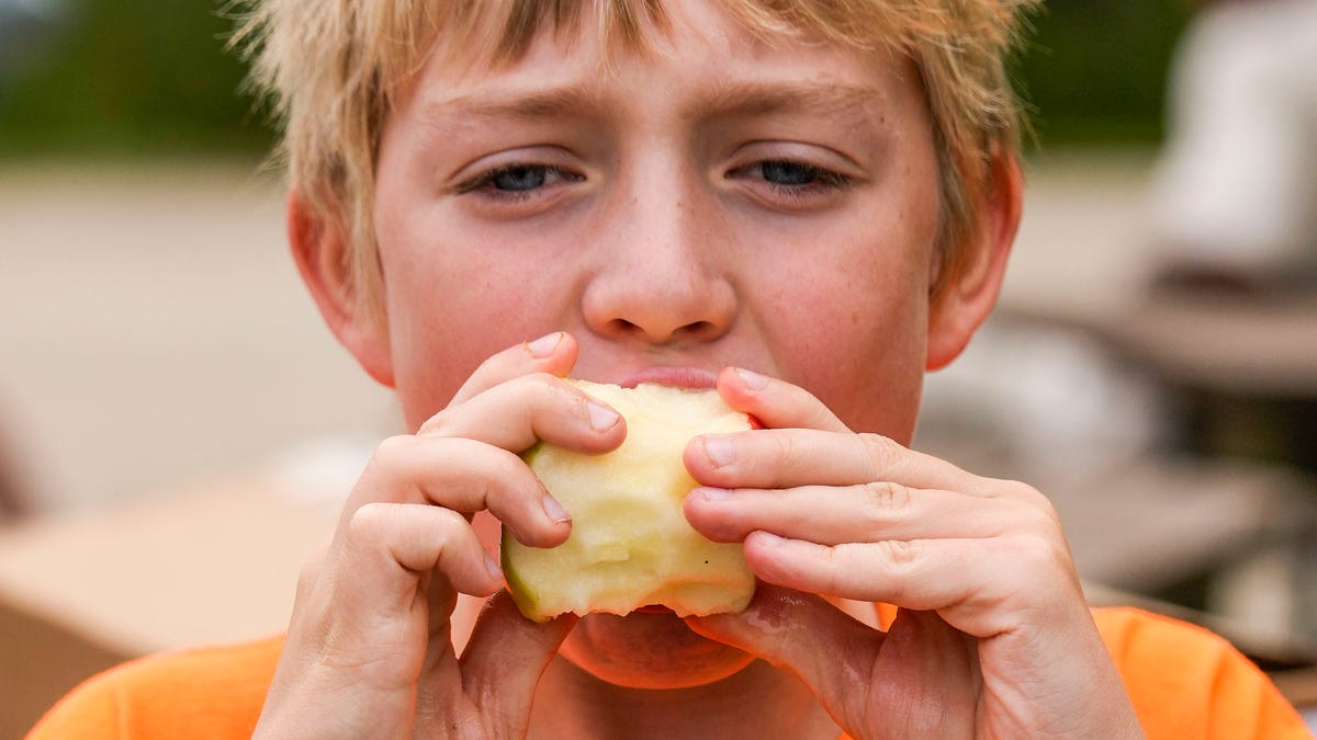 See photos from the 35th annual Apple Harvest Festival at Retzer Nature Center – Milwaukee Journal Sentinel