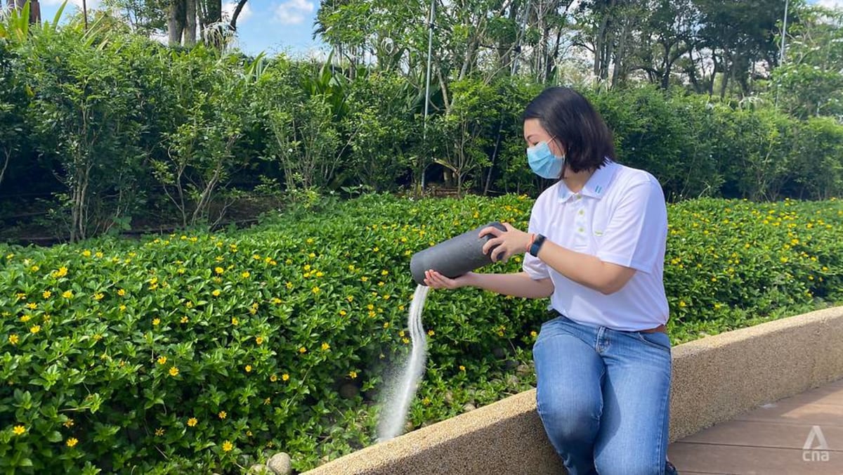 Ash scattering backyard in Choa Chu Kang receives 1,900 functions; one other web site to open by 2024: NEA