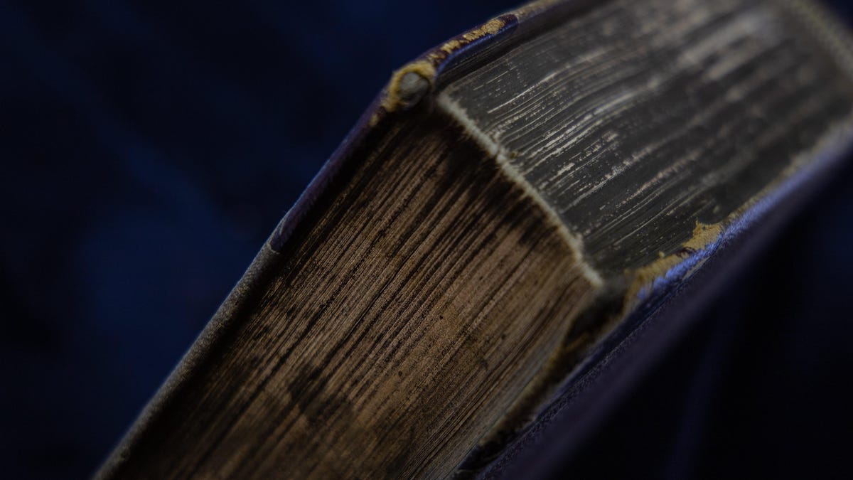 The way to Take away Mould From Books (and Stop It From Coming Again)