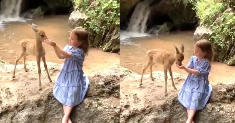 Girl Plays With Fawn Near Waterfall