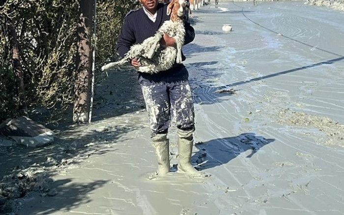 [PHOTOS] SPCA rescues Jagersfontein pets and livestock covered in toxic mud