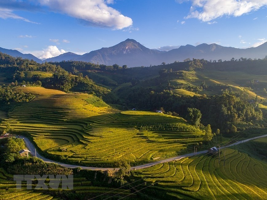 Enchanted by Sa Pa’s magnificence in the course of the golden rice harvest | Journey