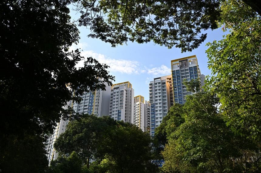 Permit singles to use for BTO flats from age 28 as a substitute of 35: WP’s Louis Chua