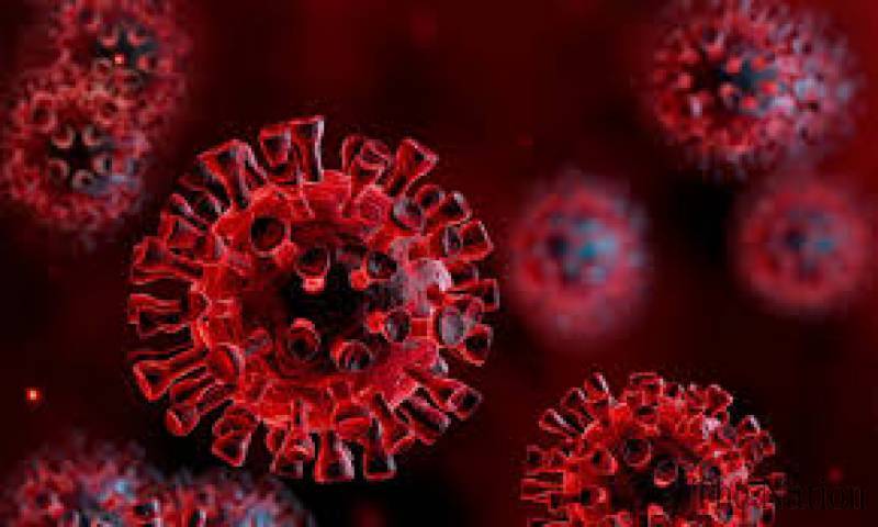 Pakistan reports 72 coronavirus cases, one death in 24 hours