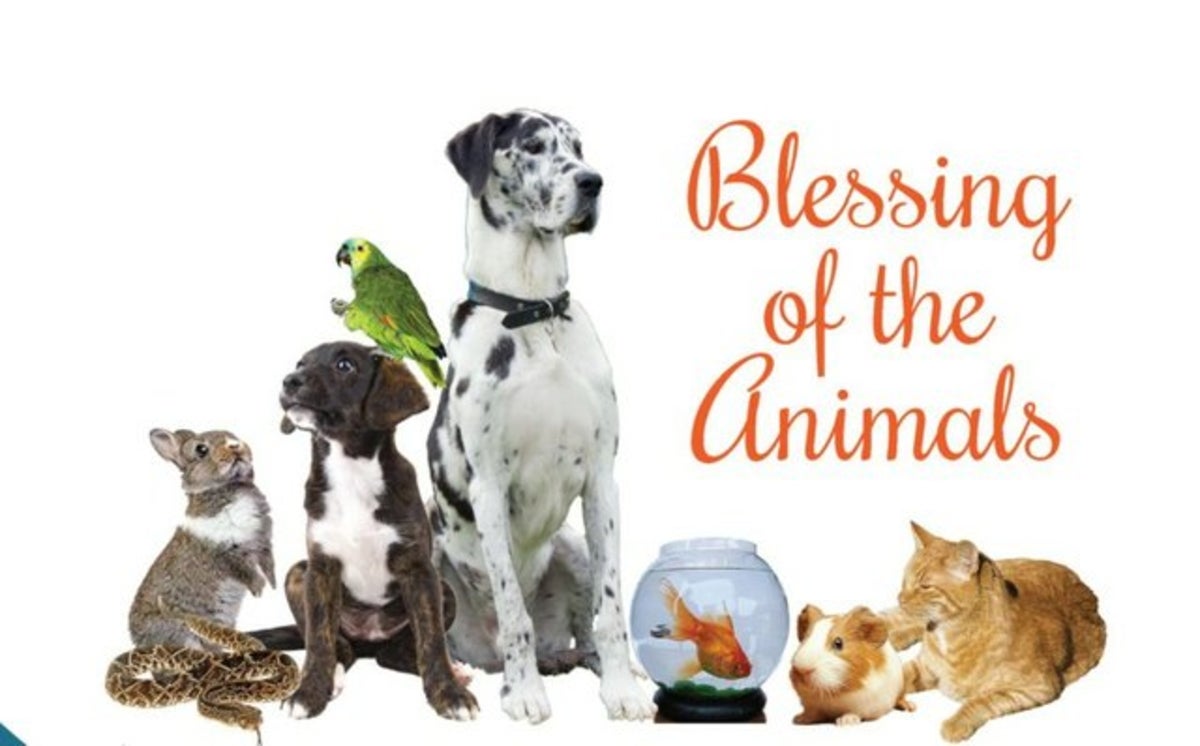 Pet Blessings within the Spirit of St. Francis of Assisi