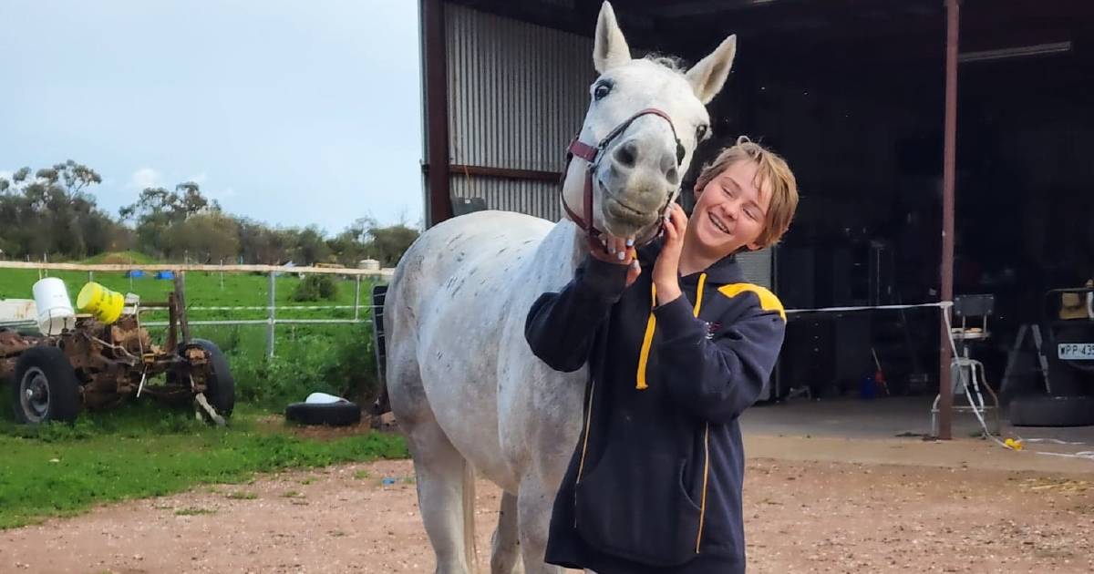 Leeton family return home after car and horse float stolen in Canowindra | The Canberra Times