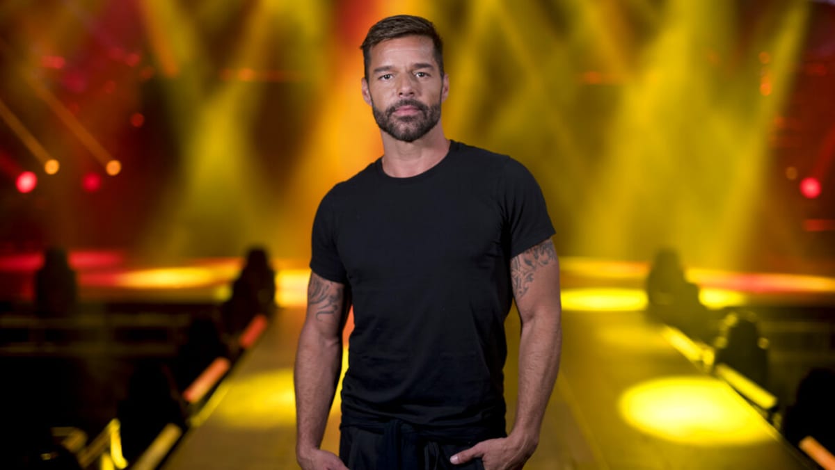 Ricky Martin sues nephew, alleges million-dollar losses