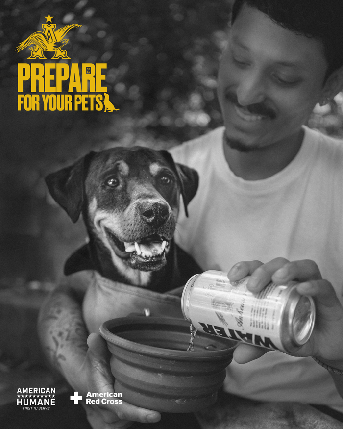 Anheuser-Busch Launches Nationwide Preparedness Month Marketing campaign Centered Round Pet Preparedness