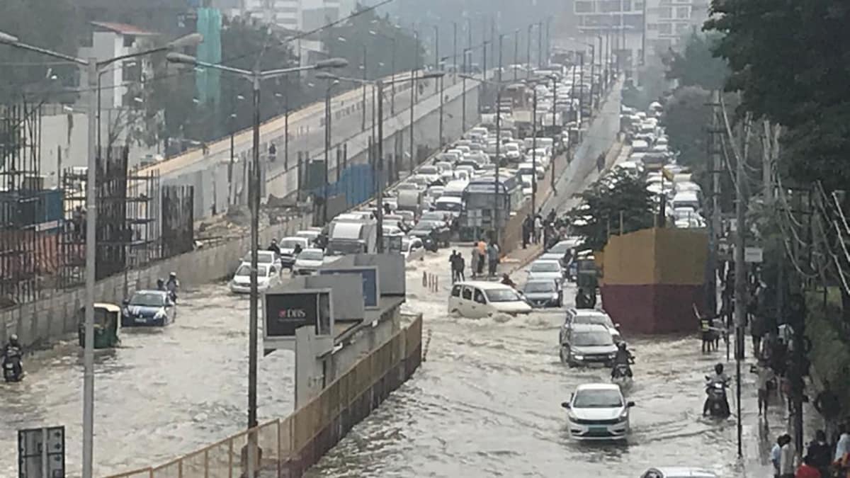 Bengaluru rains: New water themed park known as ‘BLUNDER-LA’, say netizens