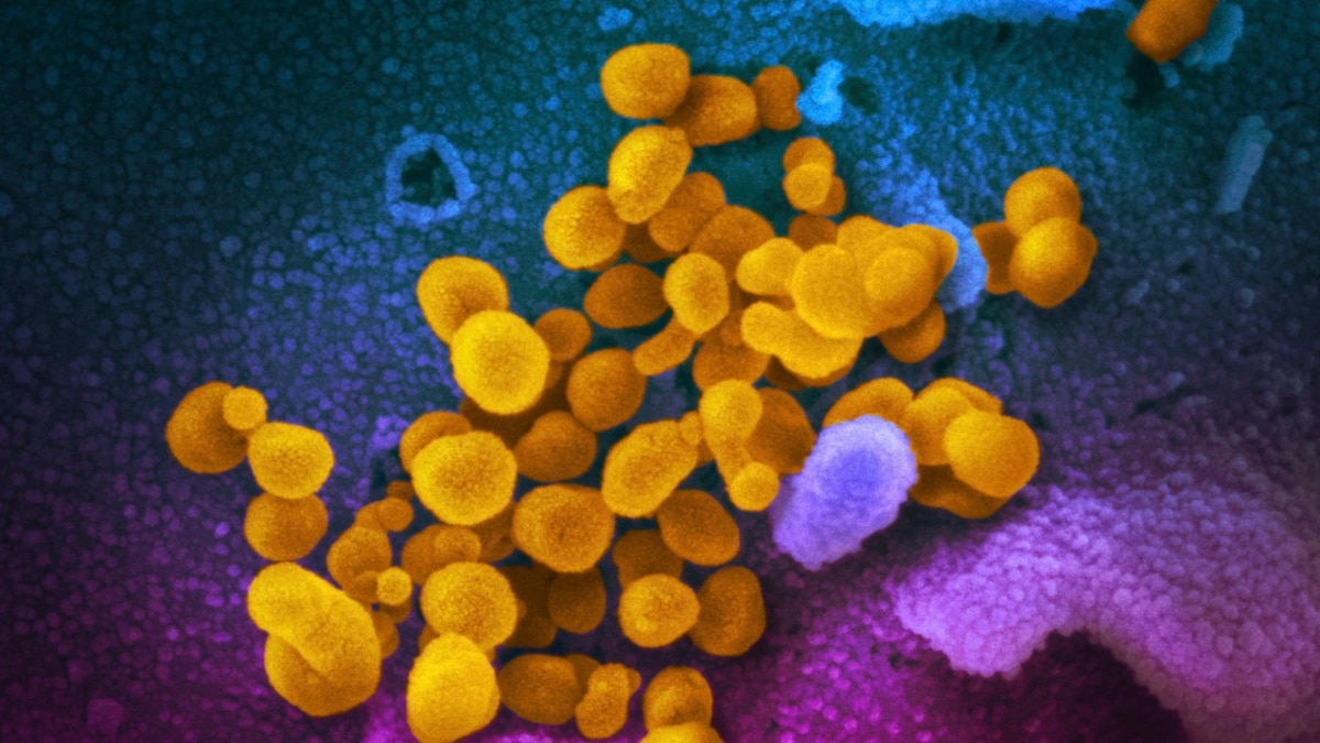 U.S. Did Not Weaponize Coronavirus, Regardless of Russian Claims