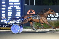 Gaines Hanover, Celeb Bambino rating in Crown eliminations – U.S. Trotting Information