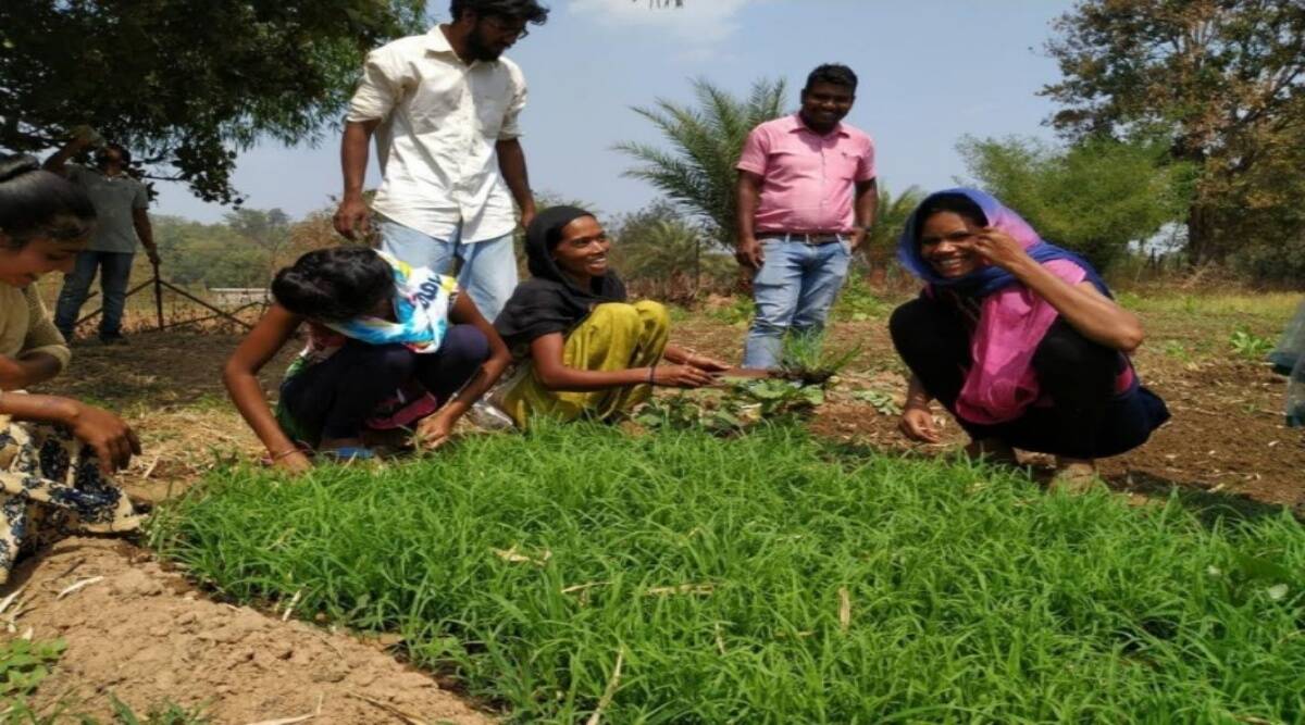 How rural ladies are serving to maintain the economic system of millets