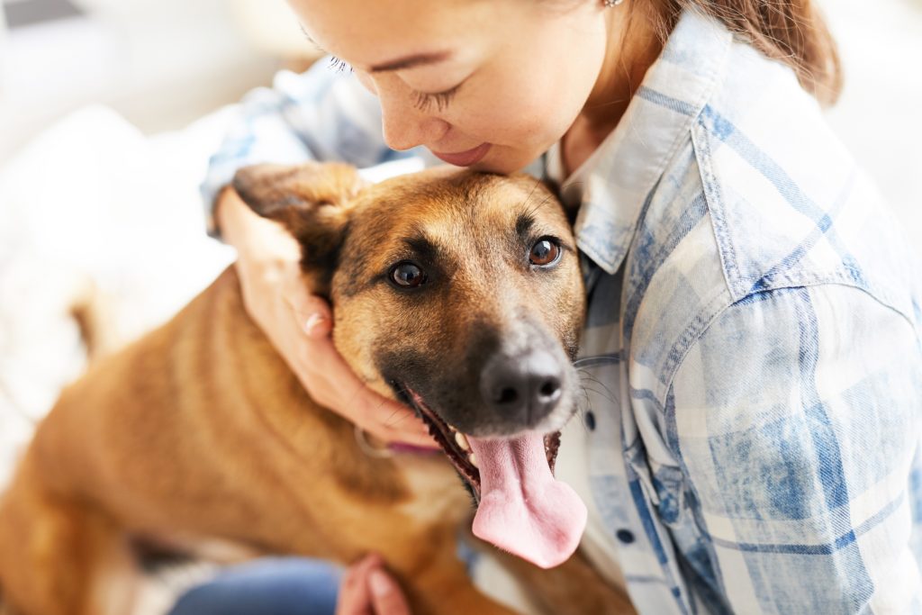 Helping Pets: PureBites Donates 1.1M Treats, Toppers to Animal Shelters