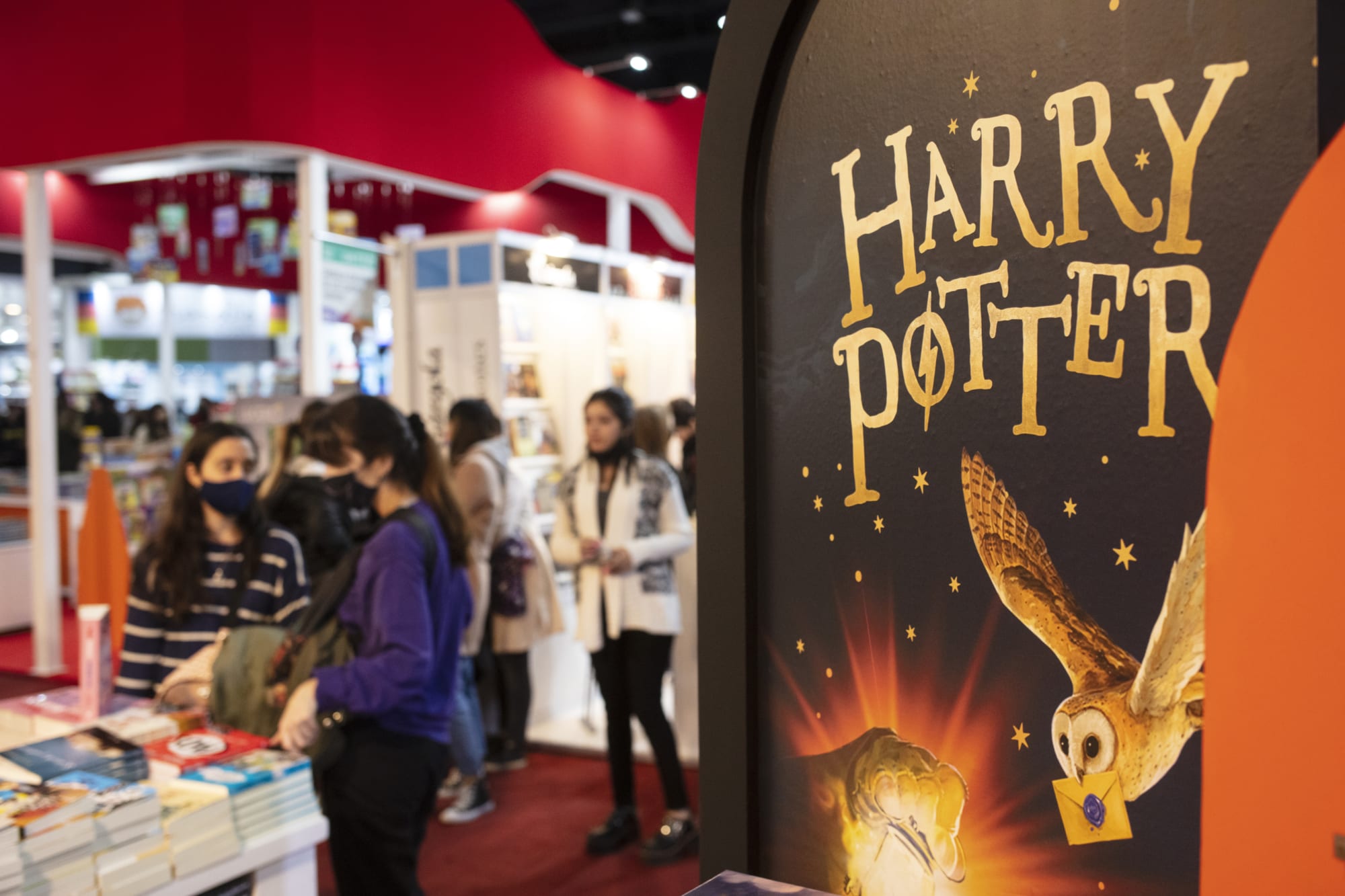 Harry Potter illustrated book enters