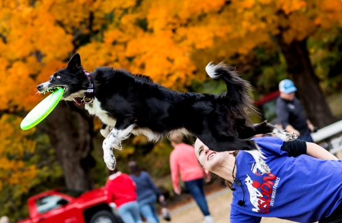 Warner Fall Foliage Pageant returns after two-year hiatus