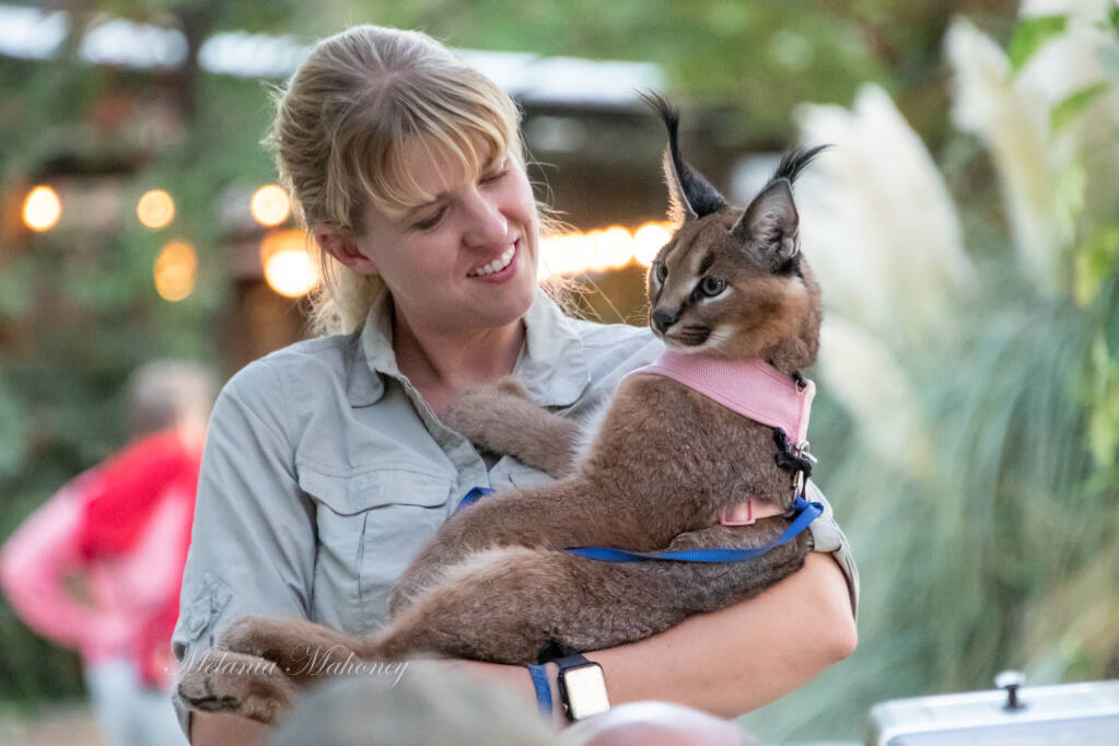 Fall Critter Carnival bounds forward