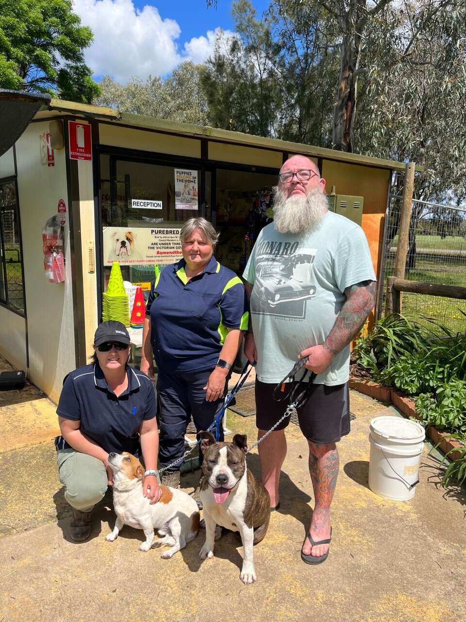 Pets discover protected haven throughout floods because of Congupna enterprise – Shepparton Information