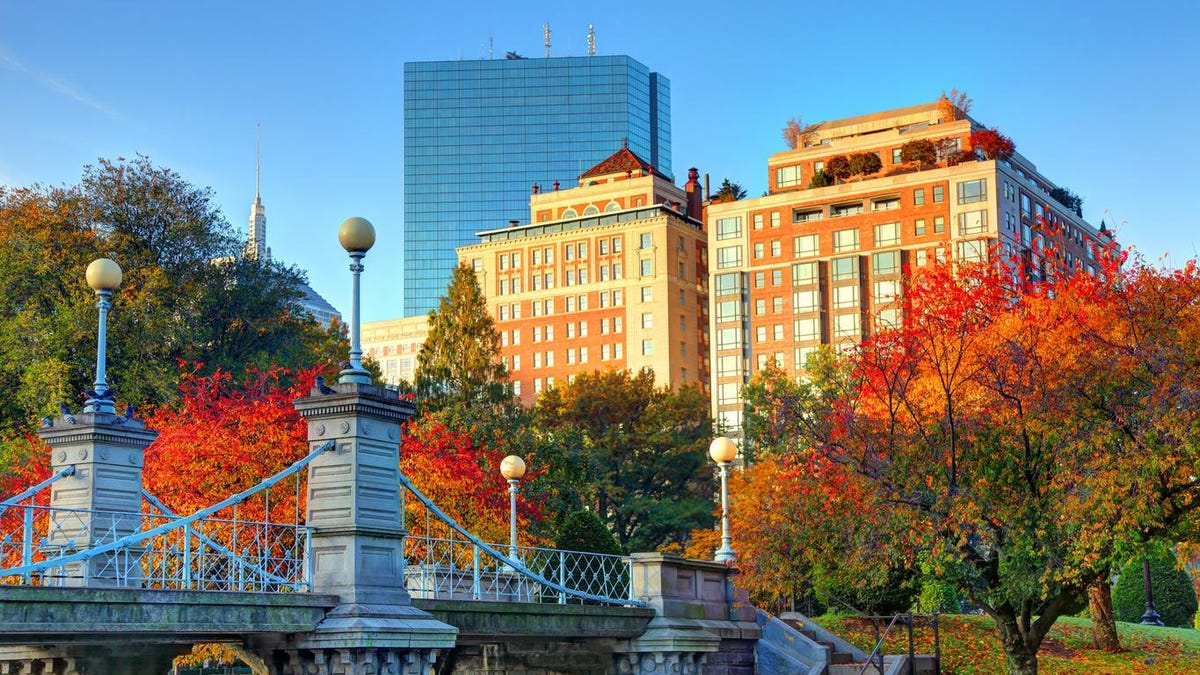 Rejoice The Magnificence Of New England Autumn With These Boston Occasions