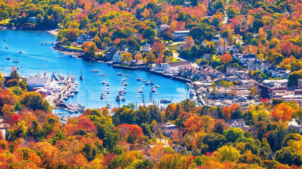 Expertise The Magnificence Of New England Autumn On This Luxurious Coastal Highway Journey