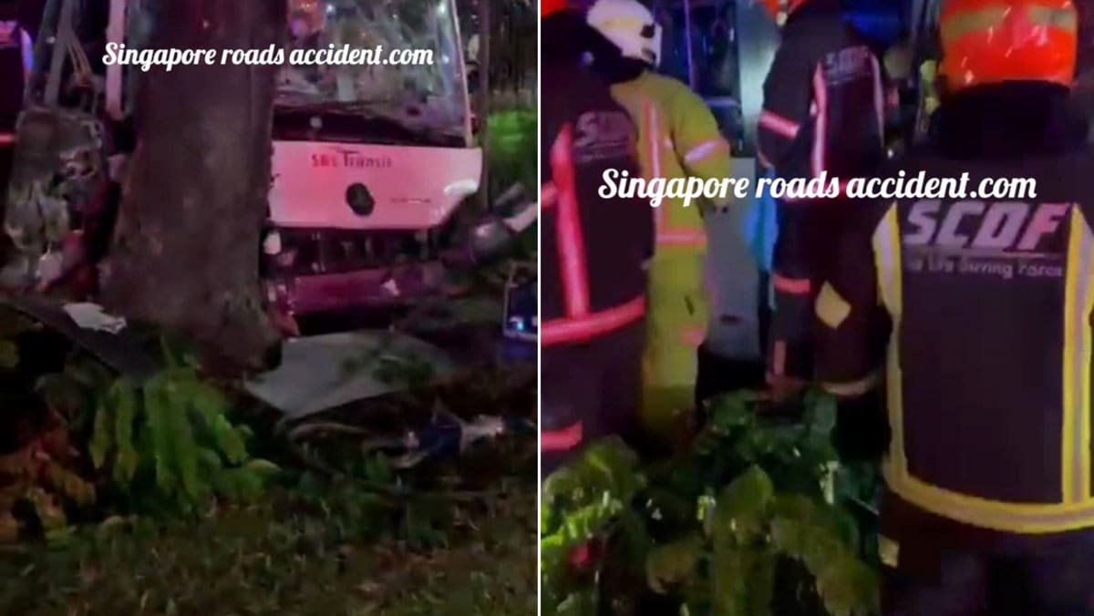 54-year-old SBS Transit driver dies after crashing empty bus into tree close to Hougang bus depot