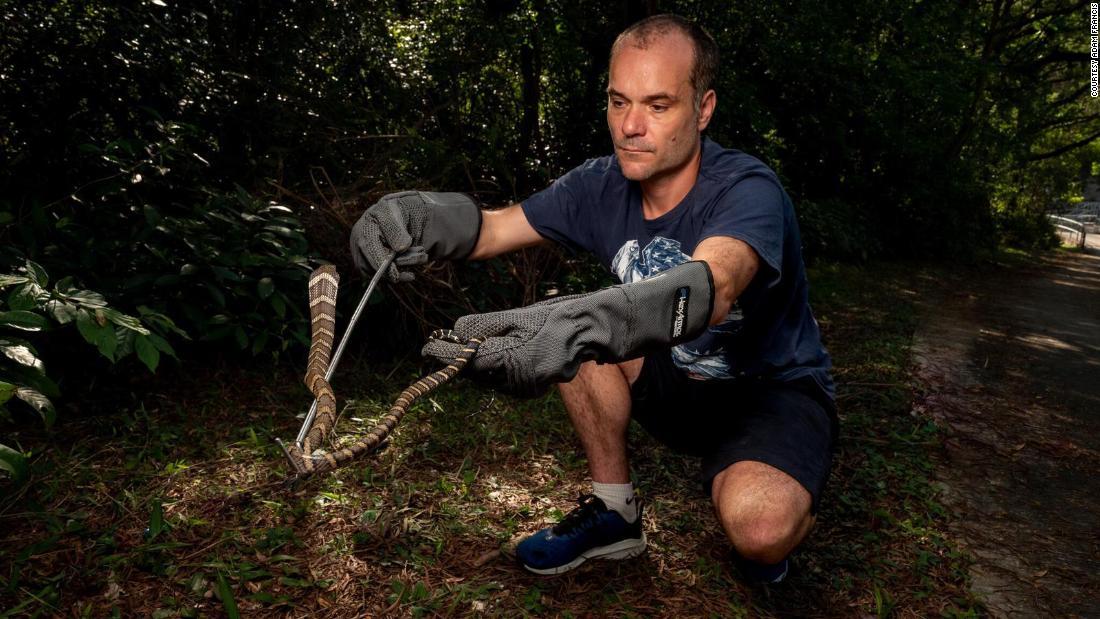 Hong Kong’s snake safari | CNN Journey