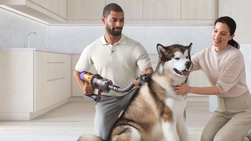 Dyson Pet Grooming Equipment evaluate