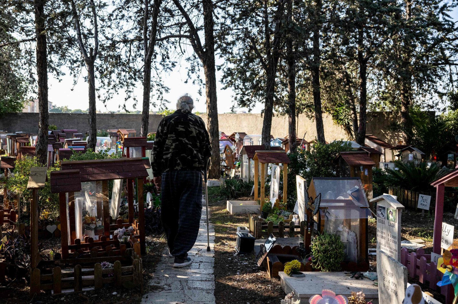 Mussolini’s hen, Fellini’s pedigree: Italy’s oldest pet cemetery