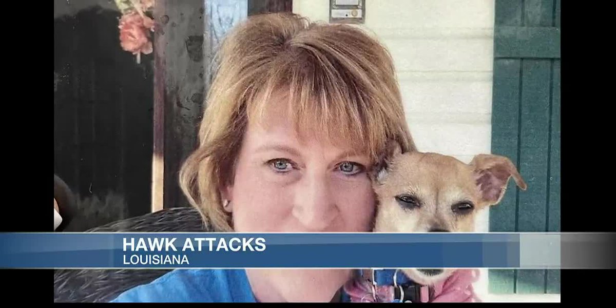 Lake Space girl warns pet house owners after hawk assault kills her canine