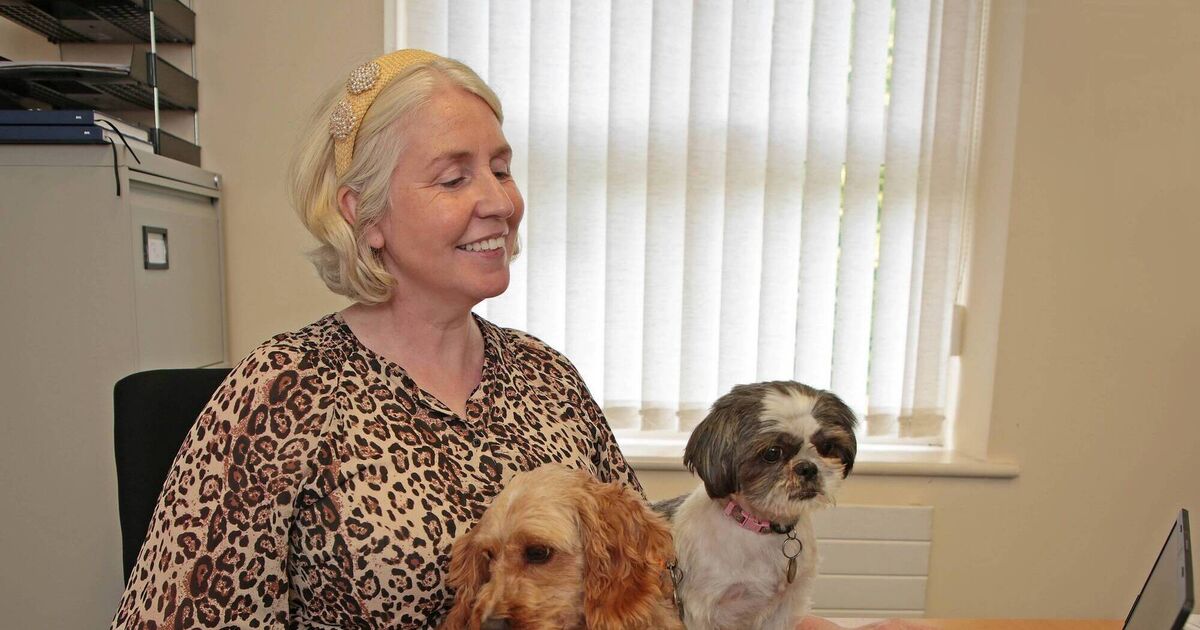 56% of jobseekers want to see pets within the office