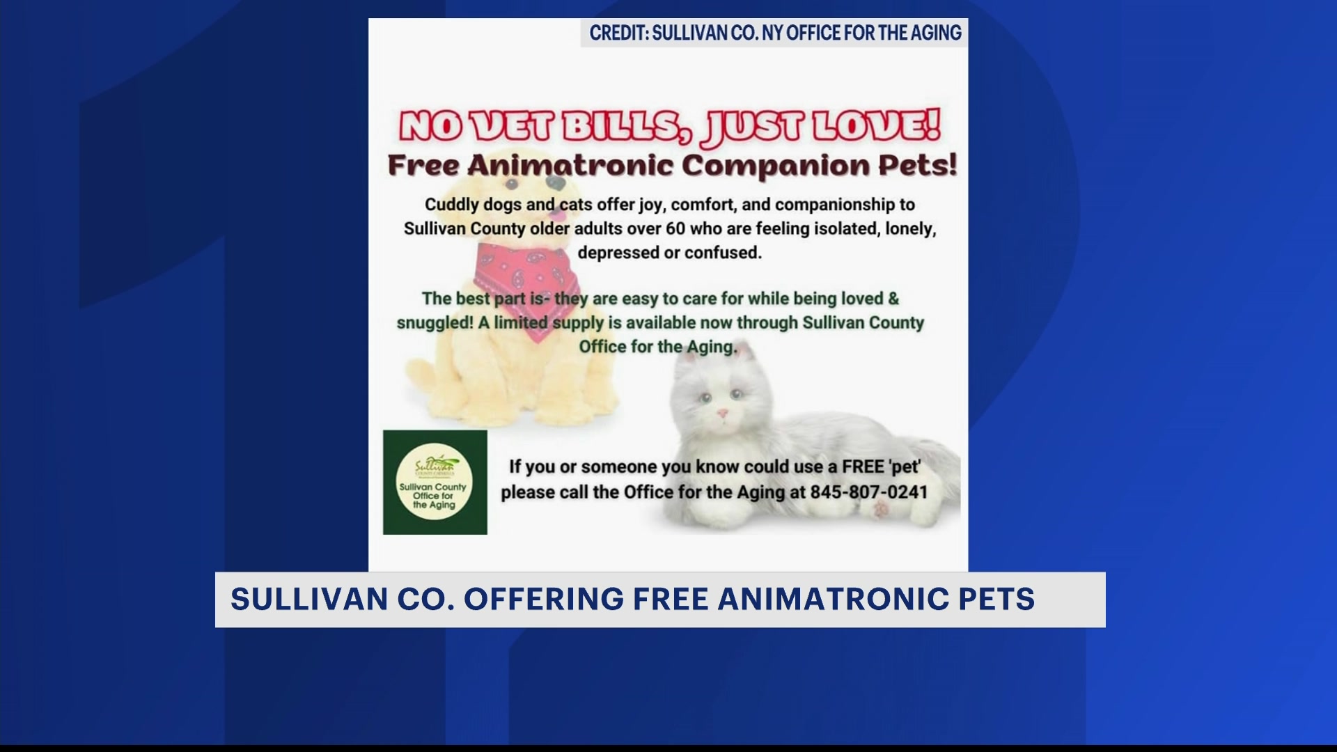 Sullivan County to provide away free animatronic companion pets to individuals over 60