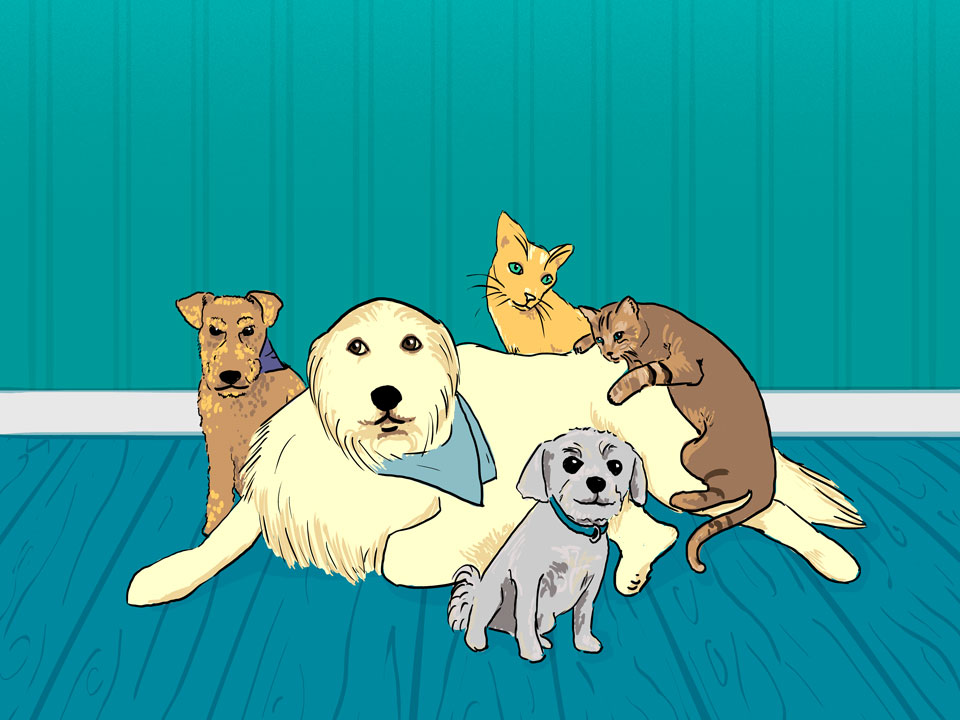 CancerCare aids cancer patients in caring for their pets It’s only fair—didn’t Misho, Sully, Franklin, and Lily pitch in to help their humans?