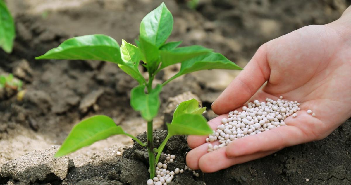 Get to know your fertilizer formulation | way of life | bendbulletin.com – The Bulletin