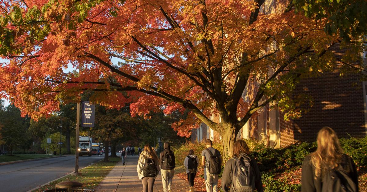 What are Penn State college students’ favourite consolation meals this fall? | Life-style