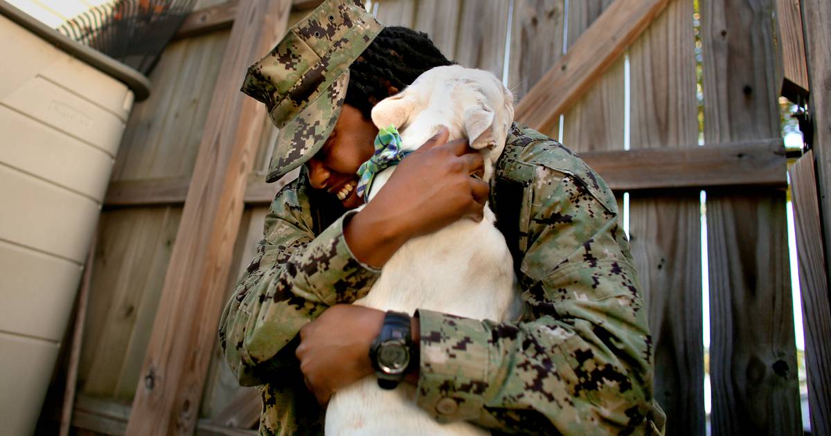 Nonprofit gives foster properties for deployed navy members’ pets