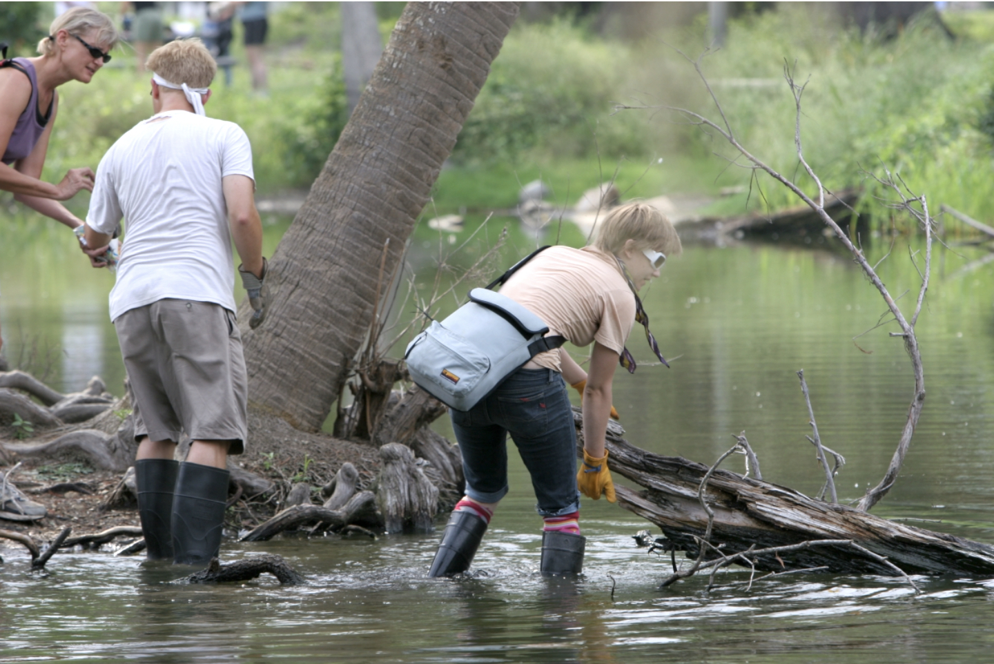 Grant to present Metropolis Park’s cleanup initiative a lift – Mid-Metropolis Messenger