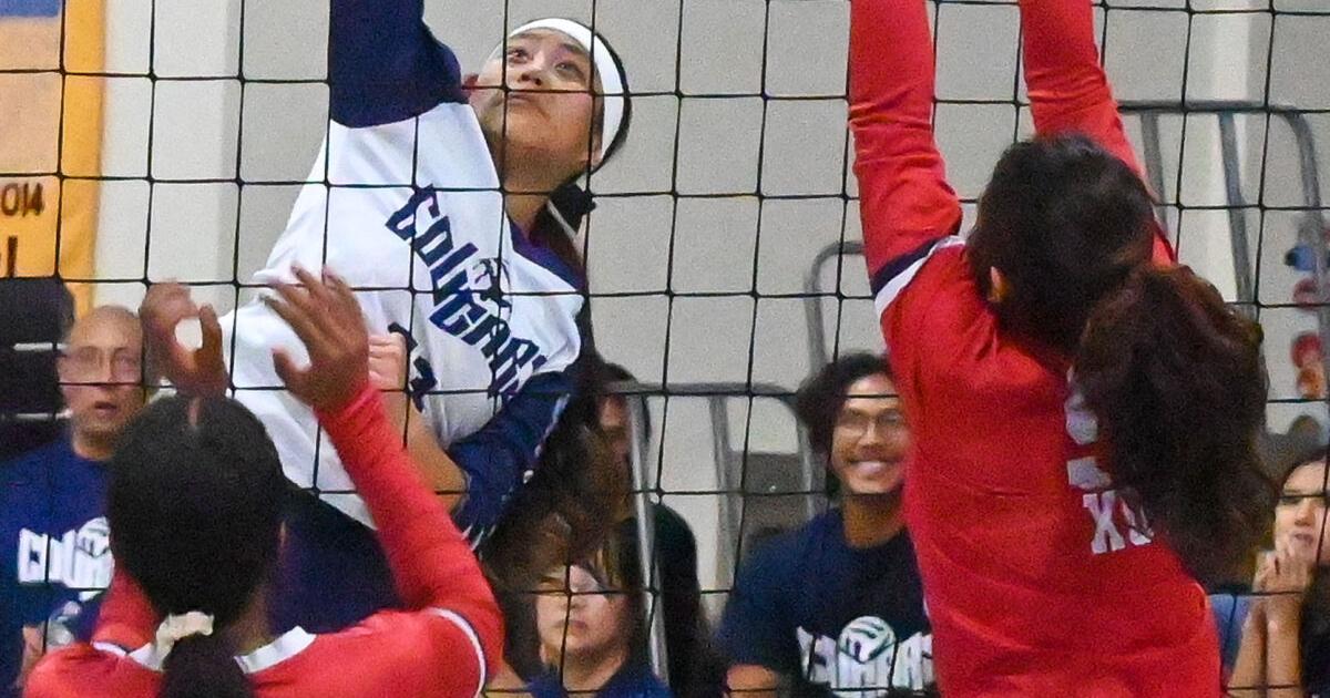 Cougars outlast Knights in 5-set thriller, will play Royals in championship sport Friday at UOG | Guam Sports activities