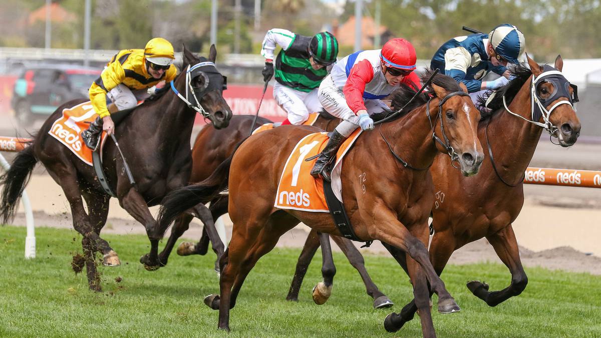 Racing: Kiwis have closing likelihood for spring carnival glory